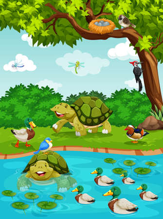 Turtles and ducks at the river illustrationのイラスト素材