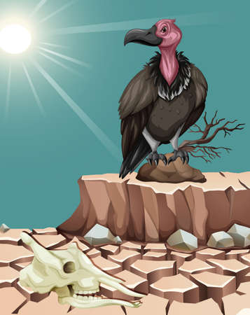 Vulture standing on desert ground illustrationのイラスト素材