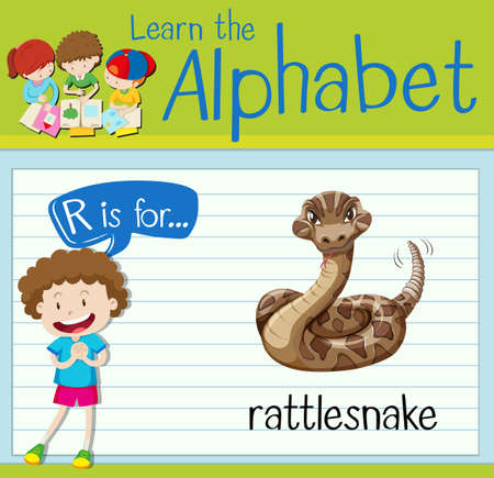Flashcard letter r is for rattle snake illustrationのイラスト素材