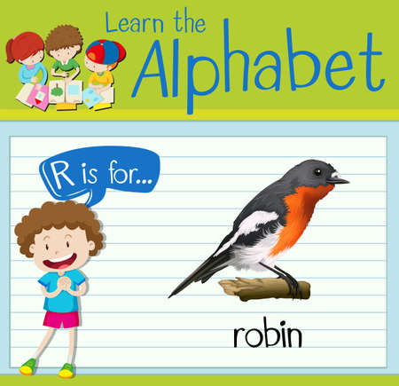 Flashcard letter R is for robin illustrationのイラスト素材
