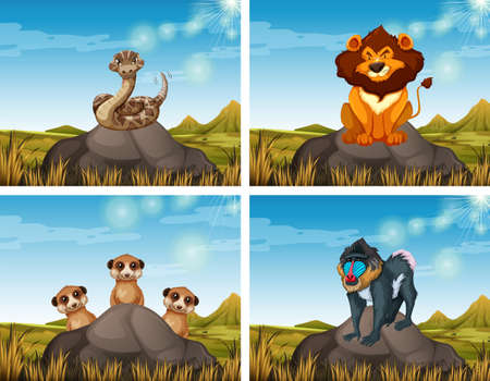 Wild animals in the savanna field illustrationのイラスト素材