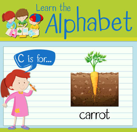 Flashcard letter C is for carrot illustrationのイラスト素材