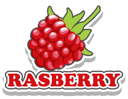 Font design with word raspberry illustrationのイラスト素材