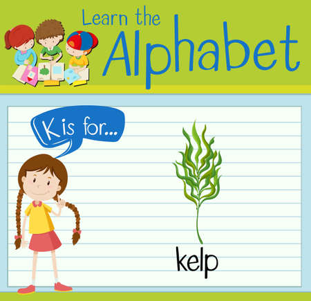 Flashcard letter K is for kelp illustrationのイラスト素材