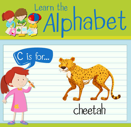 Flashcard letter C is for cheetah illustrationのイラスト素材