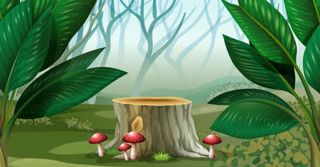 Scene with mist in the forest illustrationのイラスト素材