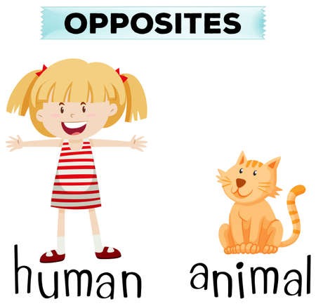 Opposite wordcard for human and animal illustration