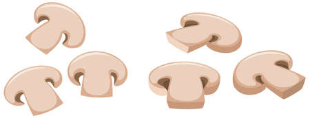 Six slices of mushroom illustrationのイラスト素材