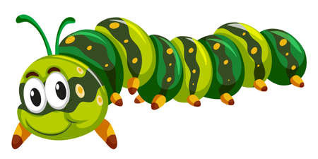 Green caterpillar crawling on white background illustrationのイラスト素材