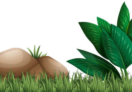 Garden scene with grass and rock illustrationのイラスト素材