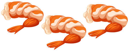 Three cooked shrimps on white background illustrationのイラスト素材