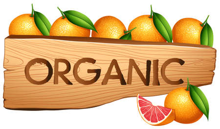 Oranages and organic sign illustrationのイラスト素材