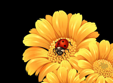 Ladybug on yellow flower illustrationのイラスト素材