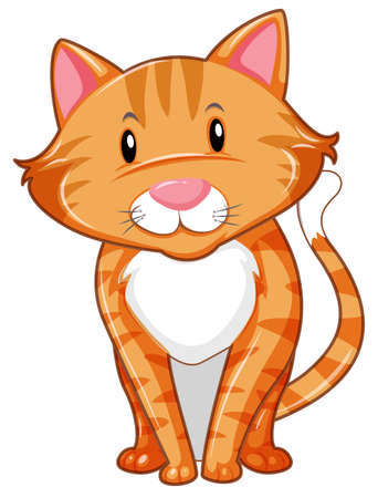 Ginger cat standing on white background illustrationのイラスト素材