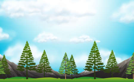 Seamless background with pinetrees in park illustrationのイラスト素材