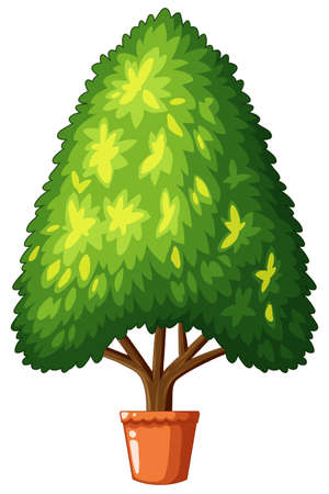 Tree growing in the pot illustrationのイラスト素材