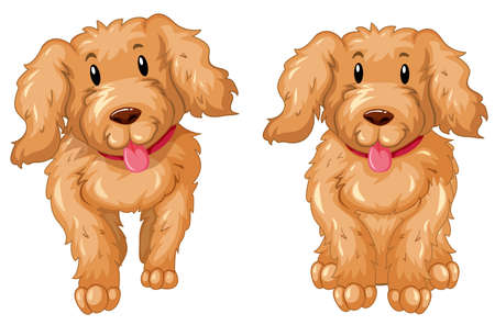 Two puppies with brown fur illustrationのイラスト素材