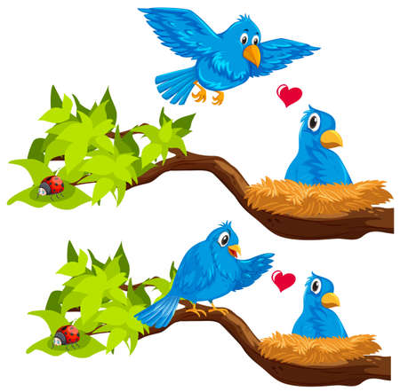 Blue birds in the nest illustrationのイラスト素材