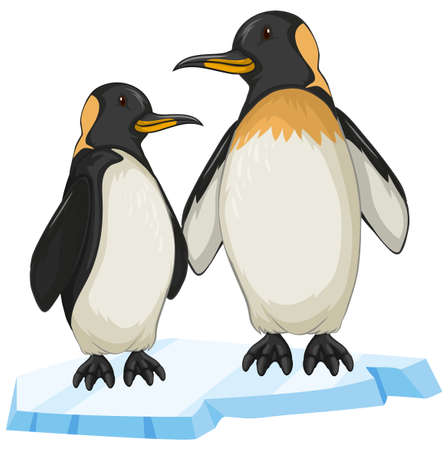 Two penguin on ice illustrationのイラスト素材