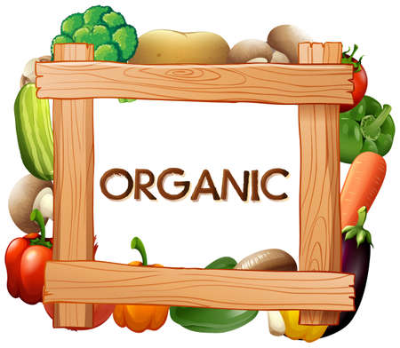 Frame template with fresh vegetables illustrationのイラスト素材