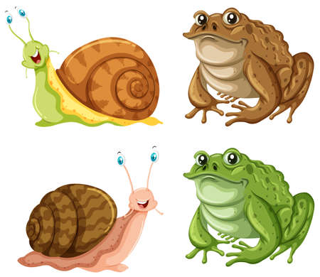 Frogs and snails on white background illustration