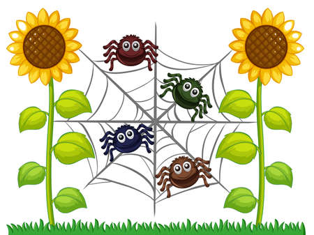 Spiders on web in sunflower garden illustrationのイラスト素材