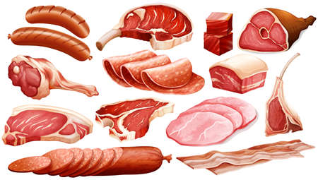 Different types of meat products illustrationのイラスト素材