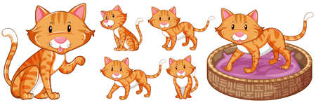 Cute cat in differnet actions illustrationのイラスト素材