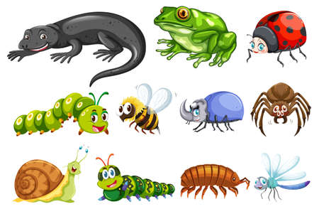 Different types of insects illustrationのイラスト素材