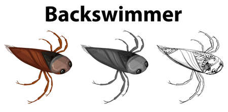 Doodle character for backswimmer bug illustrationのイラスト素材