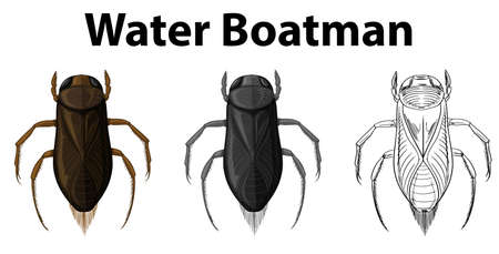 Doodle character for water boatman illustrationのイラスト素材