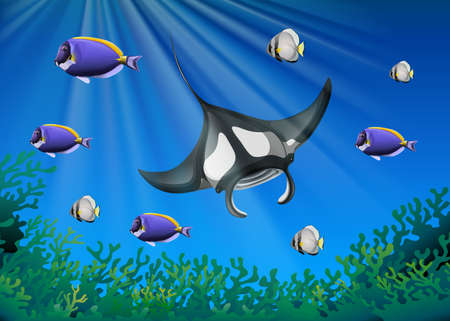 Stingray and many fish under the ocean illustrationのイラスト素材