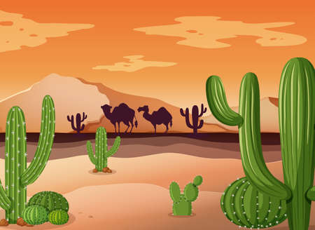 Desert scene with cactus and sunset illustrationのイラスト素材