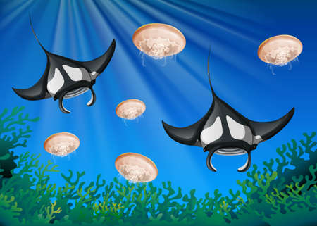 Manta ray and jellyfish under the ocean illustration