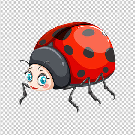 Cute ladybug on transparent background illustrationのイラスト素材