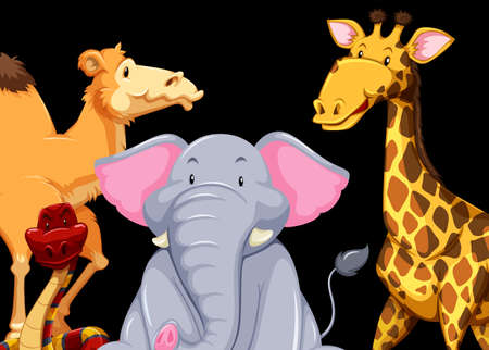 Different kinds of animals on black background illustrationのイラスト素材