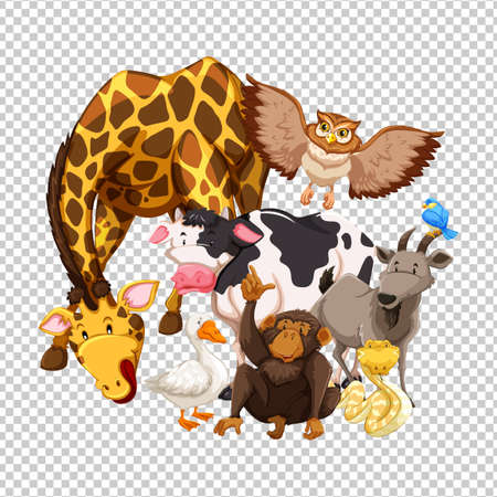 Many wild animals on transparent background illustrationのイラスト素材