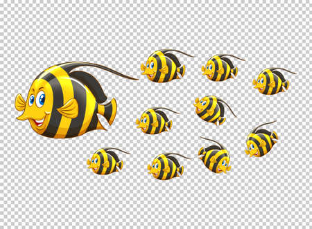 School of fish on transparent background illustrationのイラスト素材