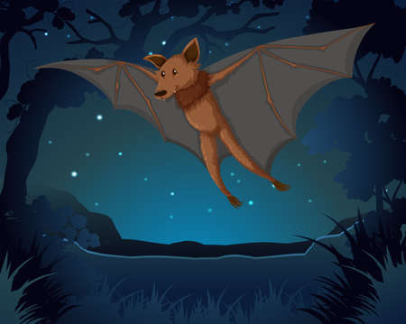 Bat flying in the dark illustrationのイラスト素材