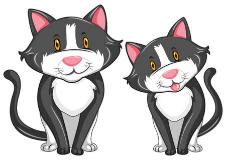 Two gray cats with happy face illustrationのイラスト素材