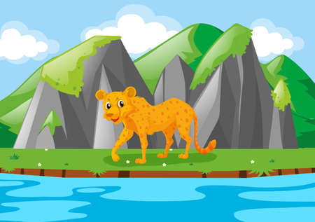 Cheetah walking along river illustrationのイラスト素材