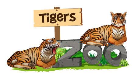 Two tigers on zoo sign illustration