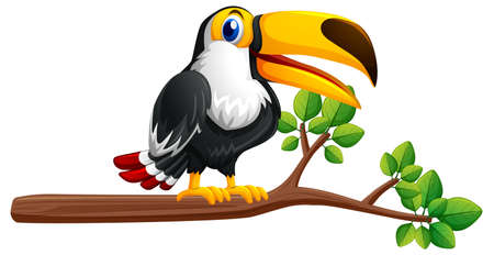 Toucan bird on the branch illustrationのイラスト素材