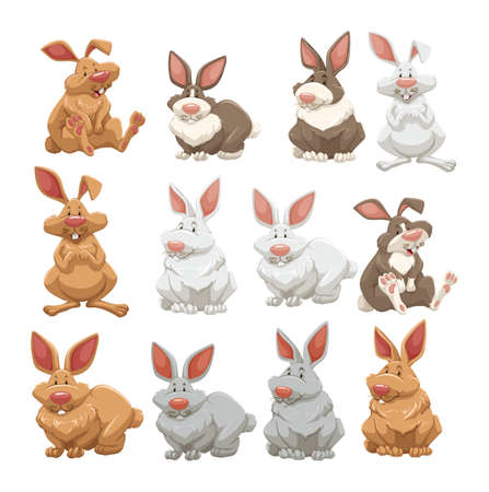 Rabbits with different fur colors illustrationのイラスト素材
