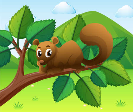 Squirrel sitting on the branch illustrationのイラスト素材