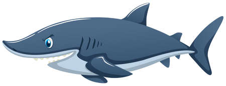 Blue shark on white background illustrationのイラスト素材