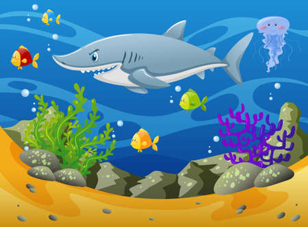 Shark and other sea animals underwater illustrationのイラスト素材