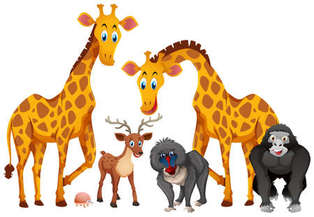 Giraffes and monkeys on white background illustrationのイラスト素材