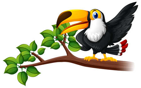 Toucan bird on the branch illustrationのイラスト素材