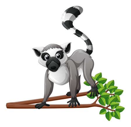 Cute lemur on the branch illustrationのイラスト素材
